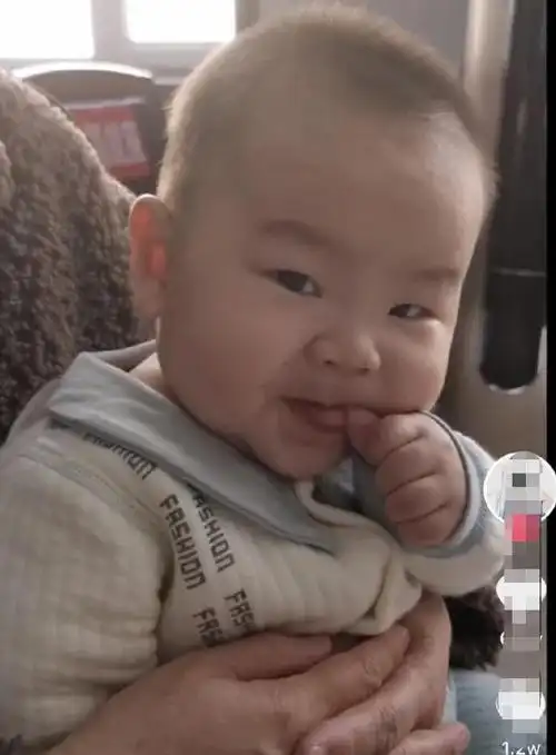 像极了骆驼,哈哈|小岳岳_网易订阅