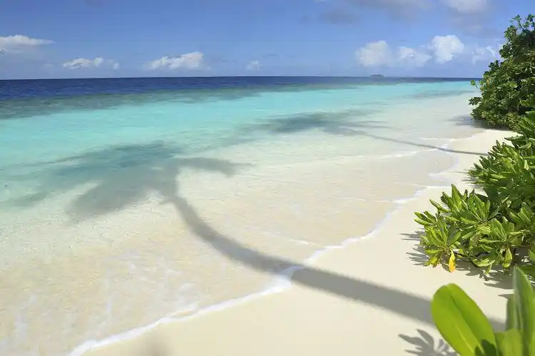 岛拥有马尔代夫最美的日落之一,岛上有个日落吧,坐落在细白的沙滩上