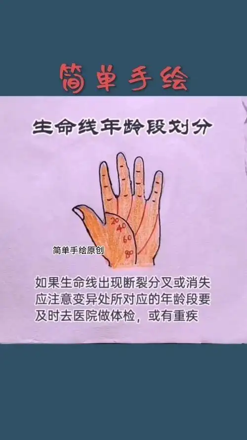 生命线年龄段划分