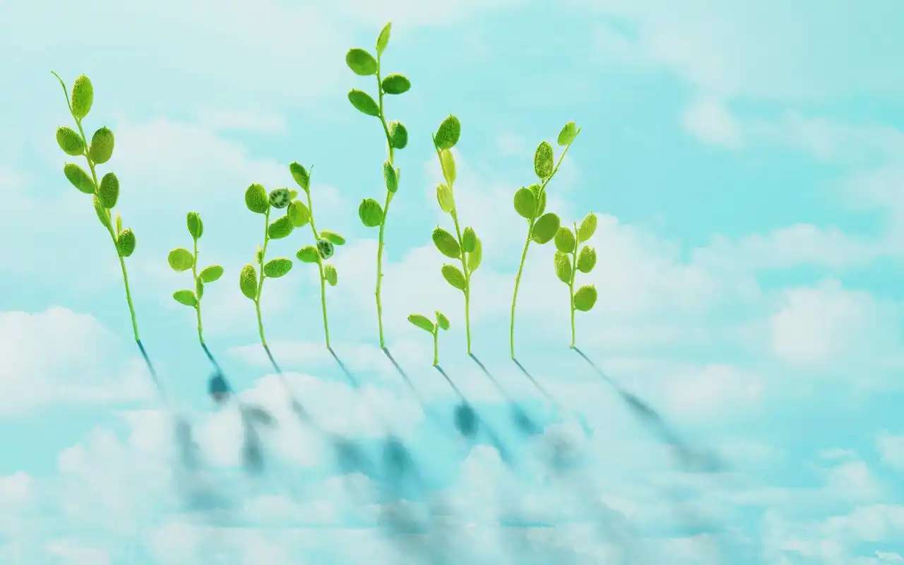 绿色植物护眼高清桌面壁纸下载