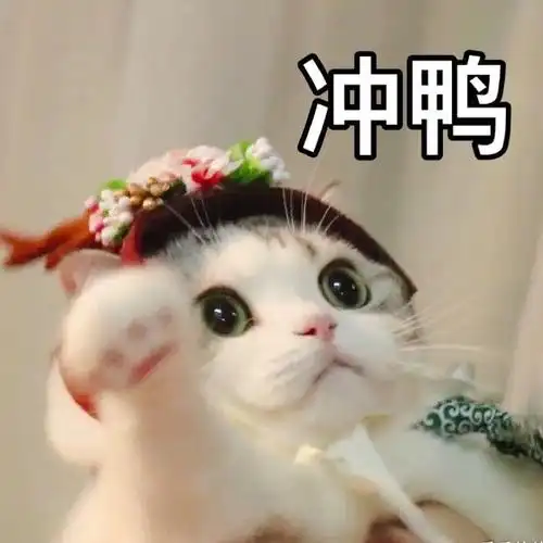 一只猴子拯救了整个电脑市场