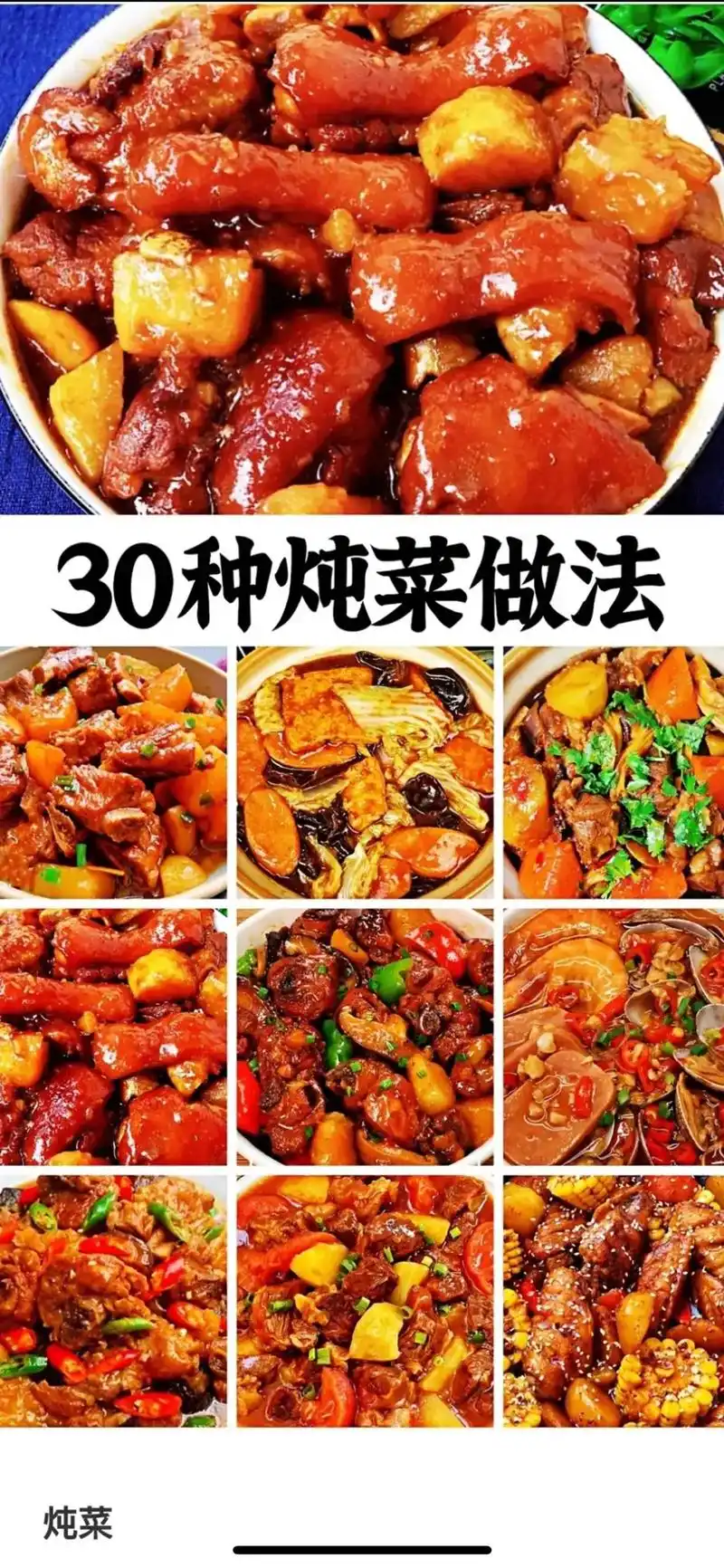 炖菜做法大全!好吃的炖菜就得这样做!何种煲各种菜怎么炖!鸡翅 - 抖音