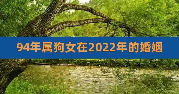94年属狗女在2023年的婚姻,属狗男和属猪女的婚姻如何