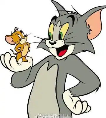 吴卓羲的资深fans