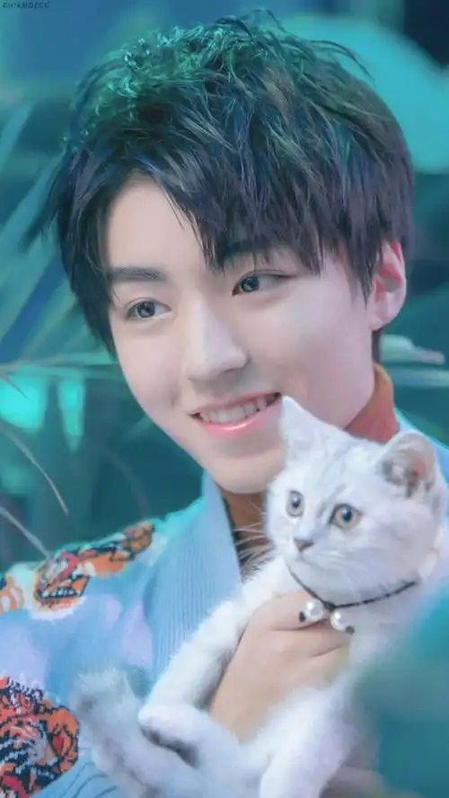 王俊凯和猫咪神似他是吃可爱长大的吧