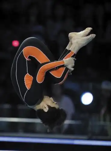 沙宝亮跳水表现专业 从小练杂技曾夺大奖(组图)