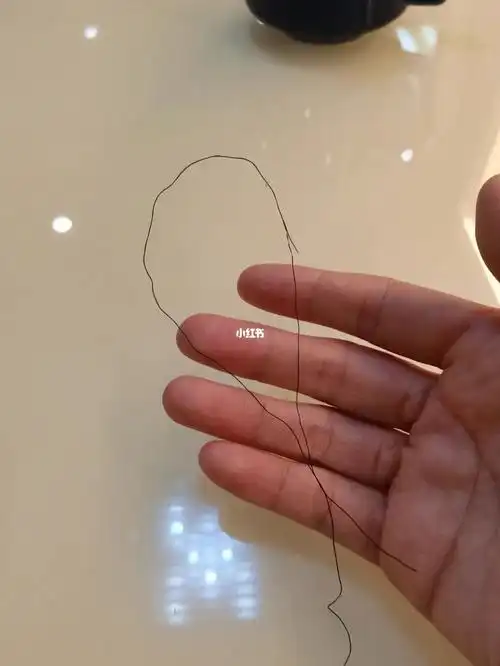 天呐竟然长出了这么粗的一根头发