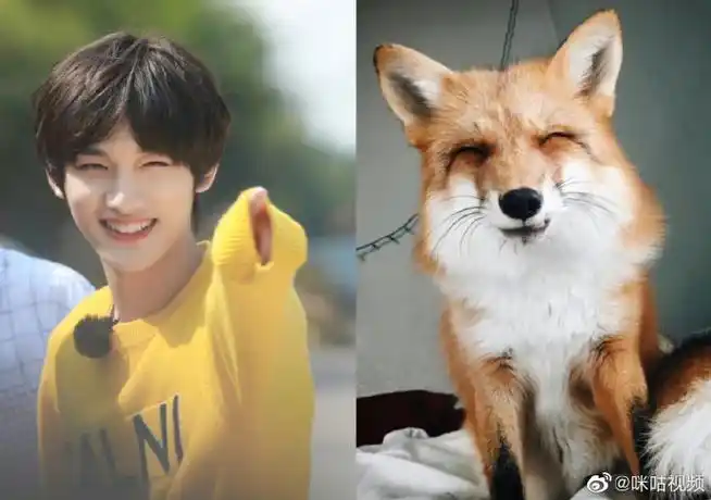 内娱动物系艺人大赏#@时代少年团-丁程鑫标致的狐狸眼魅惑动人,辨识