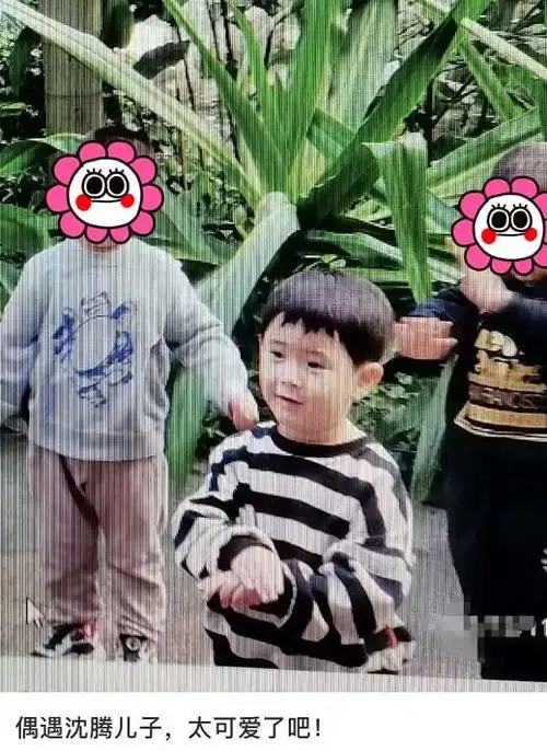 沈腾儿子近照曝光3岁小狮子身高猛蹿白白胖胖像妈妈王琦