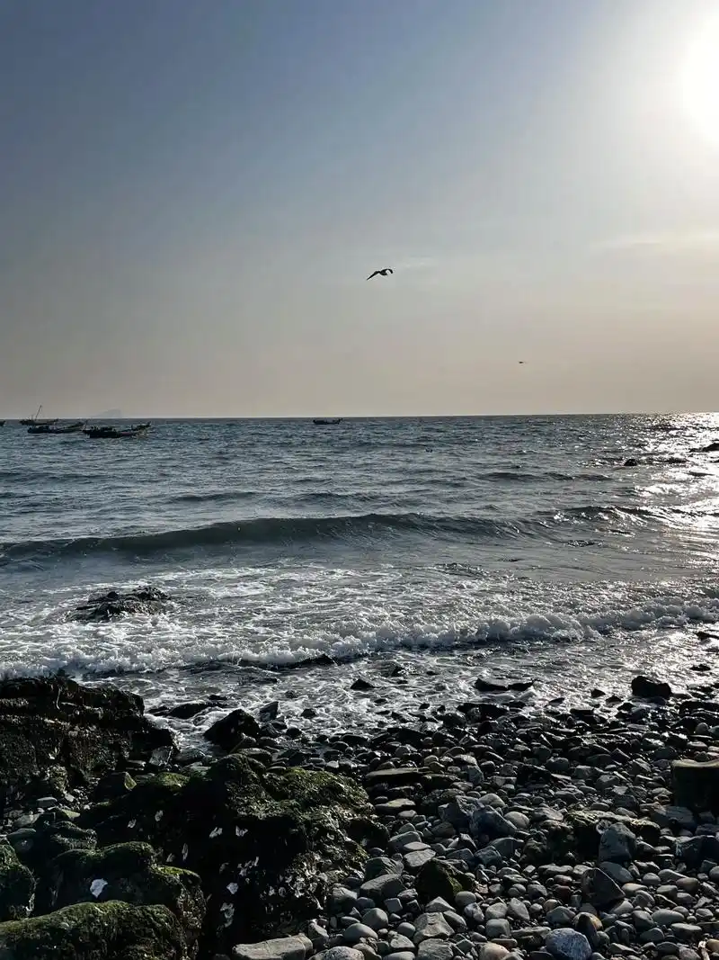 "浪漫的不是海 是吹着海风的我们" #小海鸥能有什么烦恼呢  - 抖音