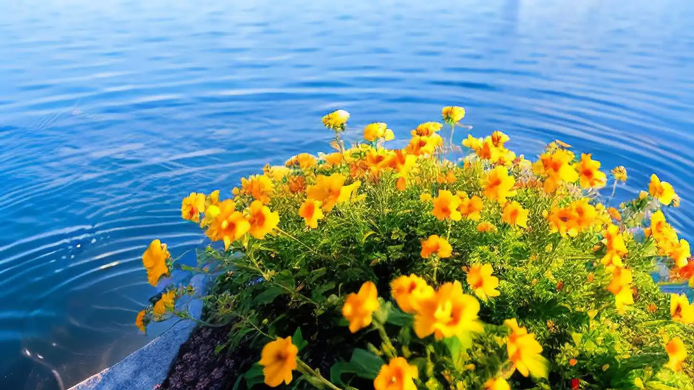 清新湖泊背景图大放送98 亲们,想要给手机或电脑桌面换张养眼的背景