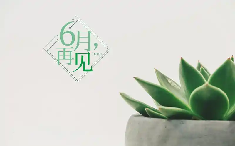 小清新绿植文字图片桌面壁纸