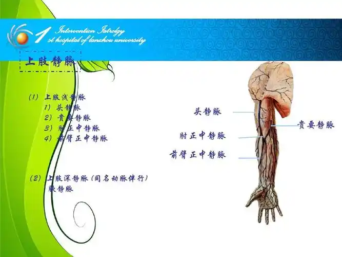 intervention iatrolgy st hospital of lanzhou university 上肢静脉