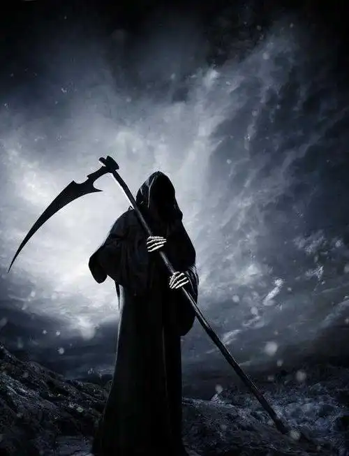 有什么好看的杀手类电影?