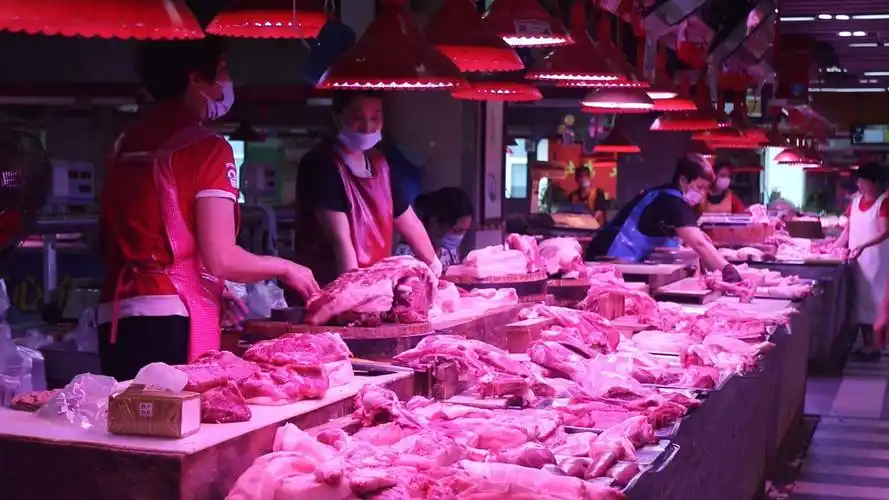 9月8日上午,记者来到农贸市场,看到各猪肉摊生意红火,肉类供应充足,精