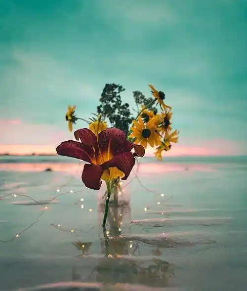 经典唯美的朋友圈文案,精辟有内涵,令人百读不厌_生活_因为_人生