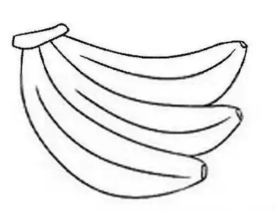 益智涂鸦上色绘画幼儿卡通香蕉怎么画简单好看_香蕉简笔画图片水果