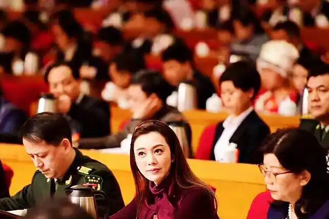 解读省两会尹峰为振兴经济建言献策