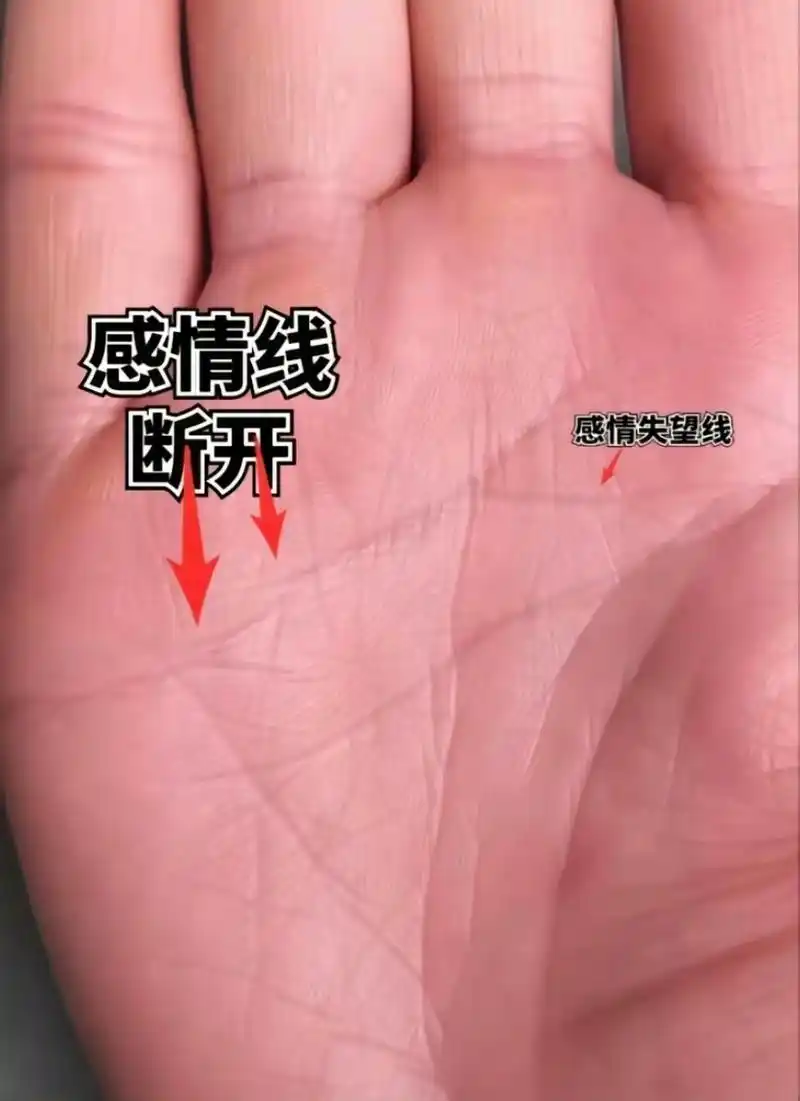 感情线断开的人就一定会离婚吗?  不一定.感情线断了,代表感情有波折.