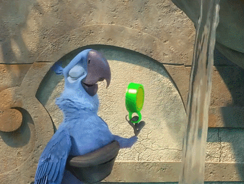 享受 动物 动画 喝水 开心 接水 水杯 电影 表情包 里约大冒险2 鹦鹉