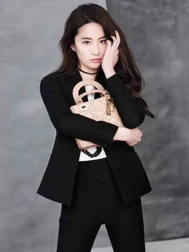 刘亦菲优雅演绎ladydior2017春夏之美