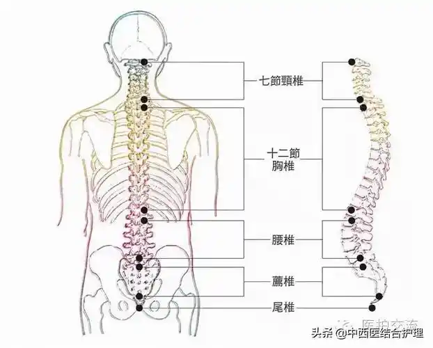腰椎间盘突出症以腰 4-5,腰5-骶1发病率最高.