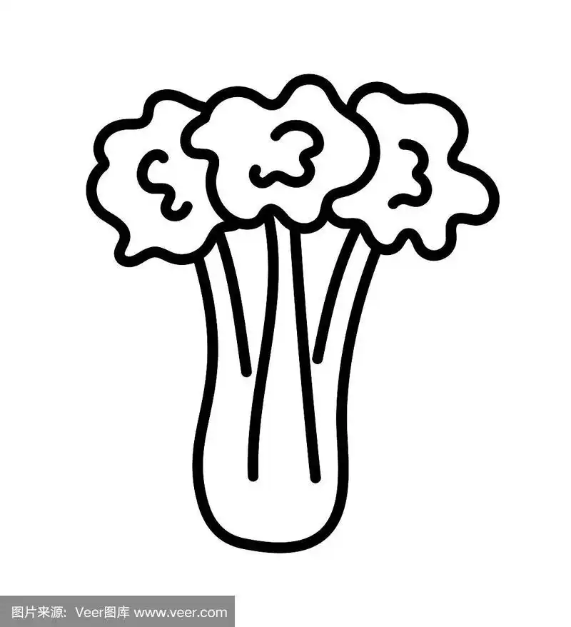 新鲜有机芹菜杆的线条图标.孤立的对象