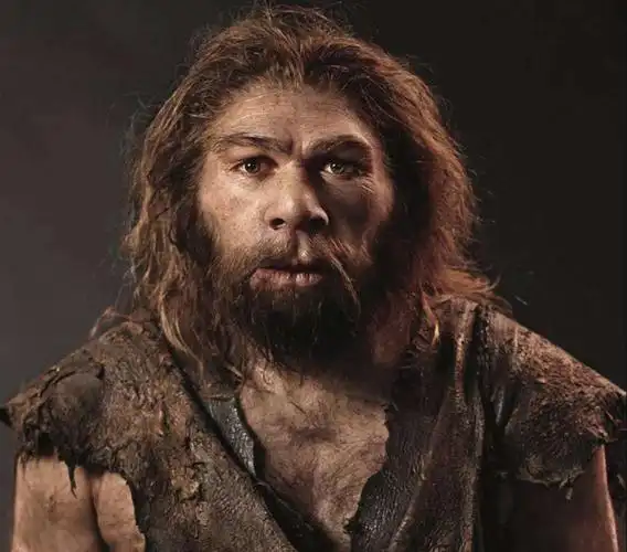 第一个原始人长啥样150万年前的化石或改写走出非洲理论