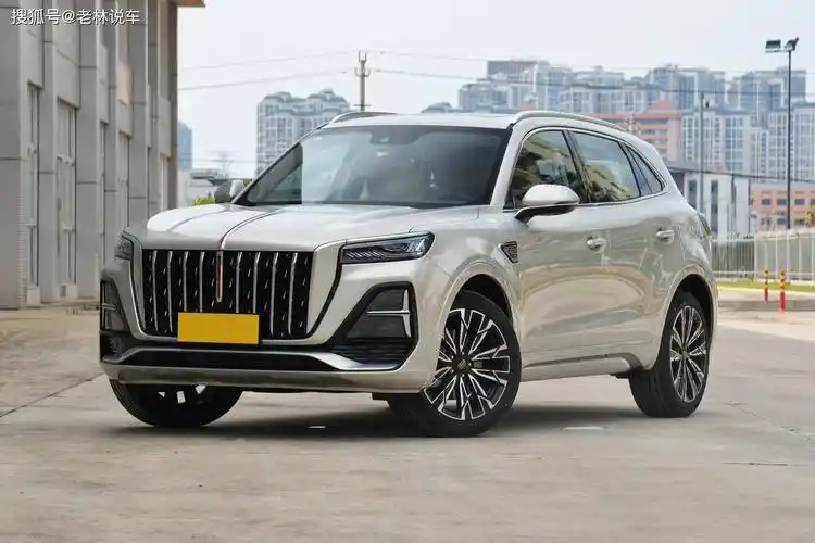 过年了,开着我的全新红旗hs5回家,真有面子_搜狐汽车_搜狐网