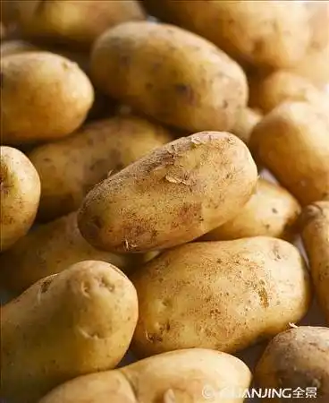 土豆图片_图片大全