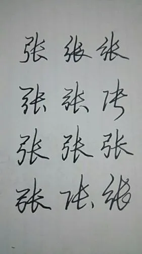 庞中华钢笔字帖行书张怎样写