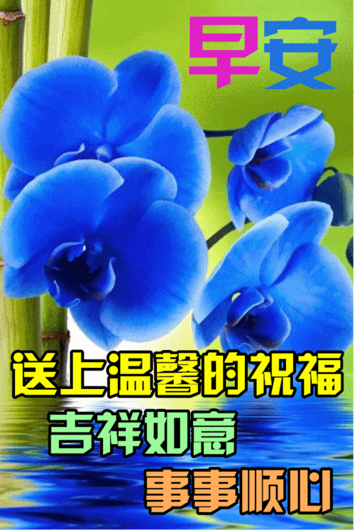 早上好表情包问候亲人朋友们早安健康快乐每天