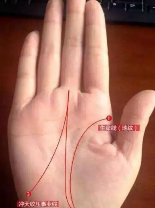 苦命的女人手相,虽然事业上是"女强人",但一辈子难享夫福