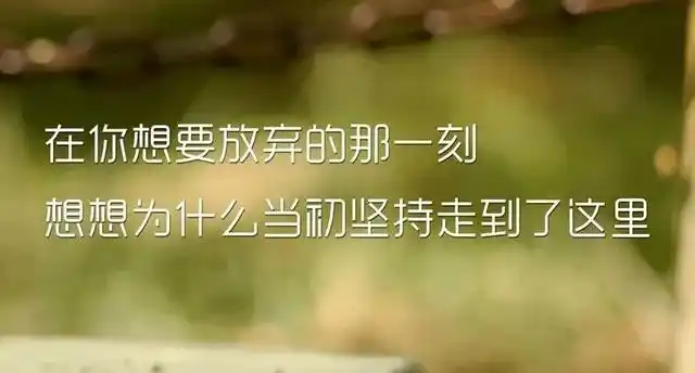 人生哲理句子精辟简短情感语录心灵鸡汤经典语录励志