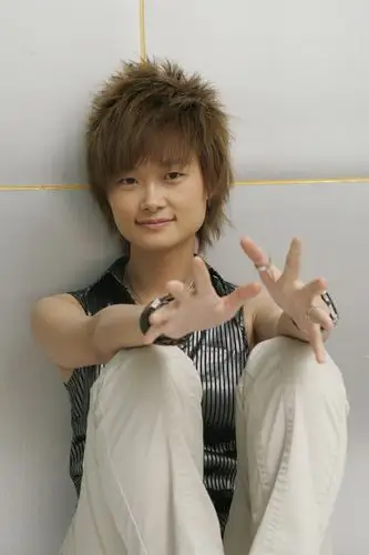 李宇春的这个发型怎么弄?