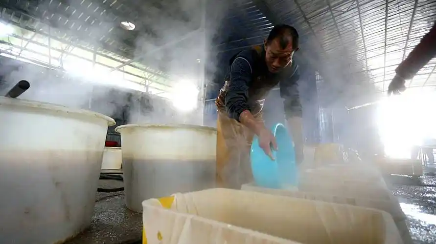 乡村振兴寻找美味湖南商人在广东平台走进安山豆腐厂