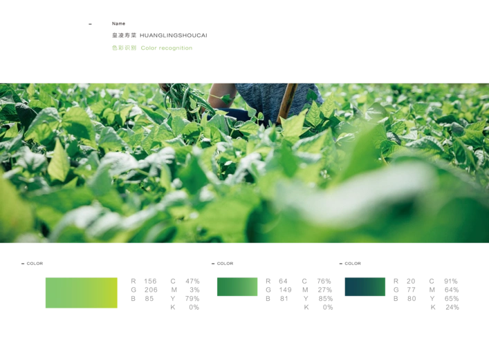 农产品蔬菜品牌logo设计