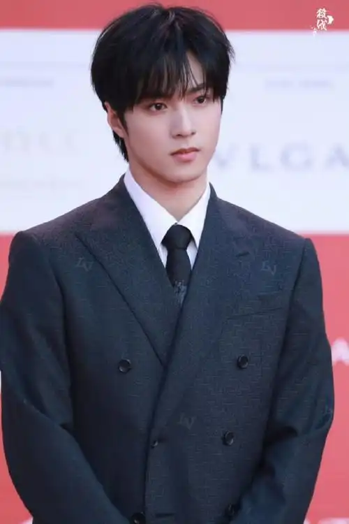 腿好长人好帅    #刘耀文红毯生图