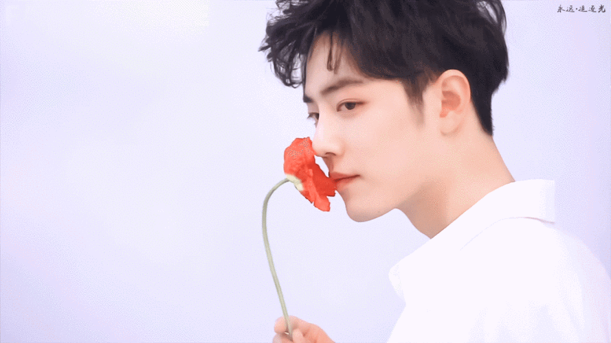肖战 动图 - 堆糖,美图壁纸兴趣社区