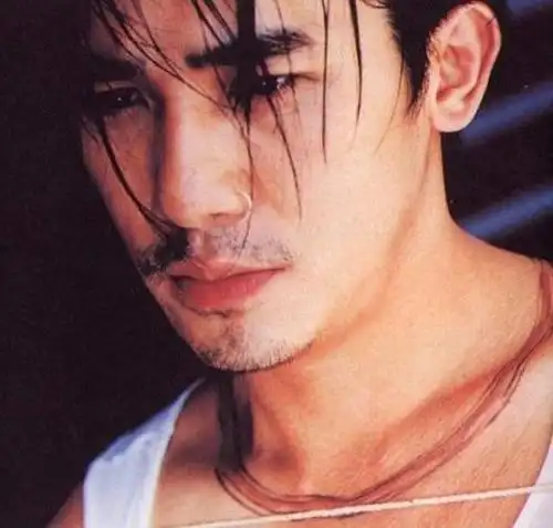 2003年凭借一部《无间道》使梁朝伟斩获了第22界香港金像奖最佳男主角