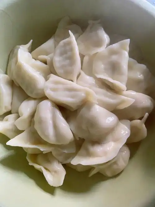 东北大萝卜猪肉馅儿水饺嘎嘎好吃