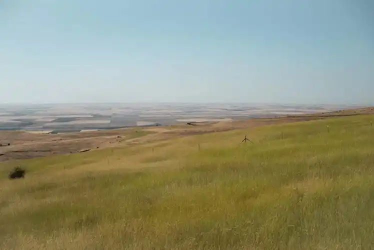 基于无人机高光谱遥感的荒漠化草原地物分类研究1.0-莱森光学