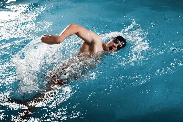 自由泳图片_自由泳高清图片_全景视觉