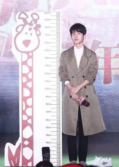 和王俊凯站在一起差不多高,中间再加个吴磊,完美_身高_演技_电影