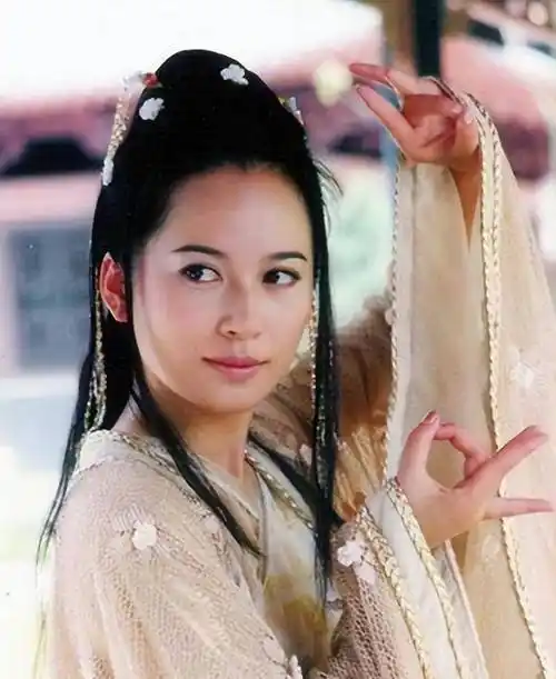 岁还单身的俞飞鸿:初恋是柳云龙,感谢窦文涛陪伴20年_景洪_曾黎_仙子