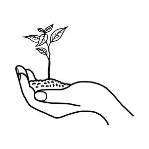 春天萌芽图片-春天萌芽素材-春天萌芽插画-摄图新视界