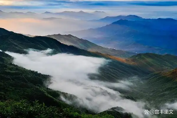 图为官山国家级自然保护区风景