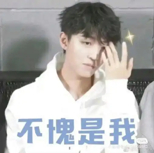 王俊凯表情包3