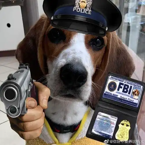 表情包)去看看ohmtoey啊mewgulf啊的时间线就好了(我倒要看看你还有