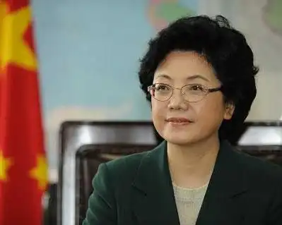 李斌:刚柔相济女省长-搜狐新闻